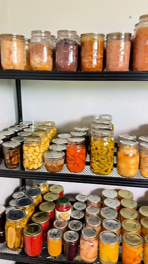 3.6K views · 12K reactions | Should I make this a series because you know I can come up with 20 more 來 Rebel canning is anything from reusing your lids to waterbath canning meat. #rebelcanner #rebelcanning #canningandpreserving #canningforbeginners #canningtiktok #selfsufficiency #homestead #fromscratch #foodpreservation #homesteading | My Basic Homestead | Facebook