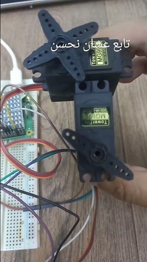 Control MG995 Servo Motors Randomly with Raspberry Pi 5 using Python