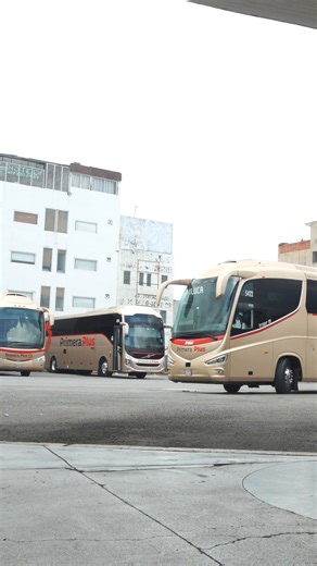 Disfruta de una aventura de lujo y confort con nuestras modernas unidades. ¡Aprovecha los beneficios de viajar en Primera Plus y haz que tus viajes sean inolvidables! 🤗 | Primera Plus
