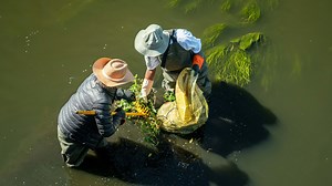 318K views · 2.5K reactions | She's uplifting homeless people, and together they're protecting our environment. | Beautiful News | Facebook