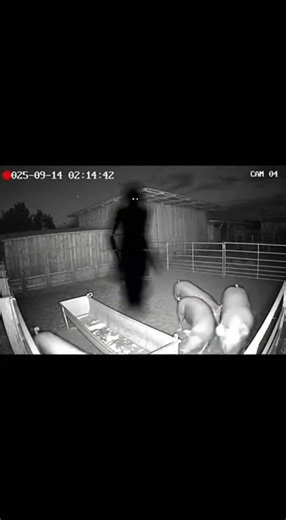 Humanoid Shadow Entity