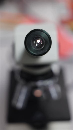 A peek at some cells in the microscope 🔬 #science #microscope #cells #nucleus #eukaryotic