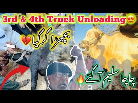Chacha Saleem Agye 🔥 | 3rd And 4rth Truck Unloading 😍 | NORTHERN BYPASS MANDI❤️|