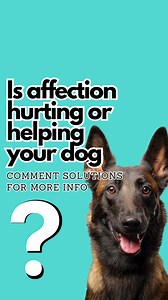 9.2K views · 153 reactions | Does affection hurt or help your dog❓ A...