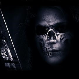 Skull Collector Latest Version for Android/iOS APK - TapTap