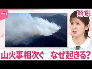 【注意】山火事相次ぐ なぜ起きる？【#みんなのギモン】