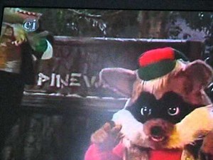 Swamp Critters...What A Crazy Show!!!