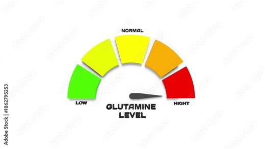 Animated glutamine level gauge on a modern 3D medical interface. Ideal for muscle recovery visuals, gut health topics, amino acid balance, and healthcare education projects.
