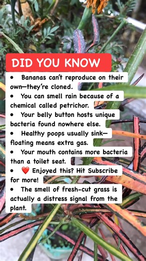 🌨️ Science Facts That’ll Blow Your Mind! #ScienceFacts #WeirdButTrue #facts | World Of Animals