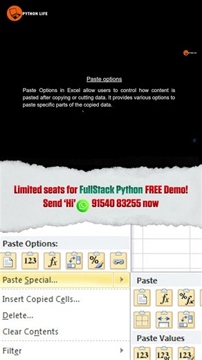 Excel Paste Options and Formatting Explained Easy | Excel Paste | Python Life