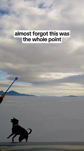 Nothing beats this🥰 #nextbase #dashcam #caughtoncamera | Nextbase UK & Ireland