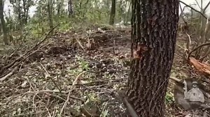 86K views · 1K reactions | Exchange fund grows. Invaders made the right choice to surrender. | Ukrainian Forces United | Facebook