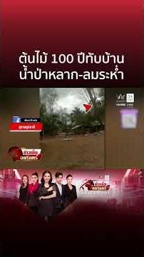 พายุถล่มต้นไม้อายุ 100 ปีโค่นทับบ้าน-ลมโหมเต็นท์แทบปลิว | ข่าวเย็นอมรินทร์