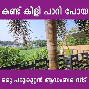 637K views · 1.5K reactions | കണ്ട് കിളി പാറി പോയ ഒരു പടുകൂറ്റൻ ആഡംബര വീട് Location Ernakulam ♻️SQFT 13000 ♻️Cents 50 ♻️BHK 5 + Home Theater  + Gym + Swimming Pool ‍♀️ Price 8.5 cr ☎️Ph No +919048266360 #dreamhome #dipinsurendran #startdeal #hometour #malayalam | Start Deal | Facebook