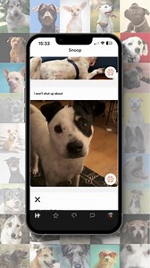245 reactions · 25 shares | Would you match with adoptable Snoop?...