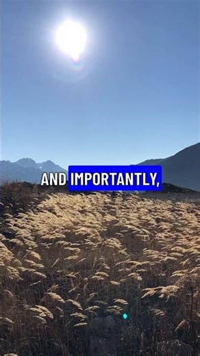 Boost Your Mobility with Gentle Chair Exercises #Fitness #Wellness