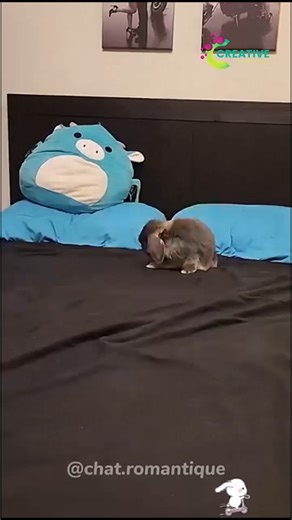 8.1K views · 189 reactions | She stepped in her own poop and cried. | Creative Company | Facebook