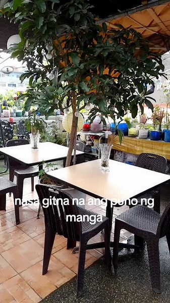 Erin's Aquaponic Garden on TikTok