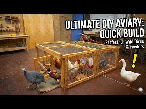 "Easy DIY Aviary: Build it in One Day!"