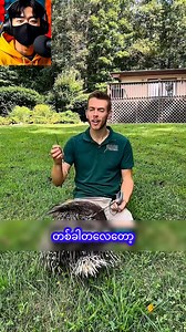 သင်မသိသေးတဲ့ ဖြူးကောင်လေးတွေအကြောင်း #ဗဟုသုတ #knowledge #fyp | Aj-star Analysis