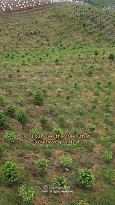 Adnan’s decades of experience in agriculture strengthen UAPI’s agarwood operations in Talakag, Bukidnon. Inspired by the plantation’s exceptional performance and supported by Dr. Mun Theng’s scientific guidance, the future of sustainable agarwood development continues to grow. 𝗕𝘂𝗸𝗶𝗱𝗻𝗼𝗻 𝗶𝘀 𝗕𝗲𝘀𝘁! | Green is Gold! For more information, Contact us NOW! 𝗠𝗼𝗯𝗶𝗹𝗲: 63 967 265 4867 𝗘𝗺𝗮𝗶𝗹: sales@agarwoodph.com 𝗪𝗲𝗯𝘀𝗶𝘁𝗲: www.agarwoodph.com Follow us on TikTok: @unitedagarwoodp