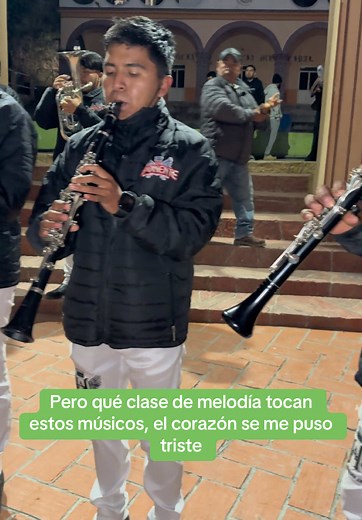 Banda Mixteca: Melodías que Atraviesan el Corazón