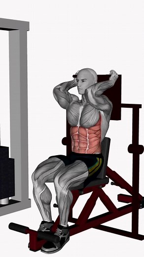 A super exercise for our gym goers! The abdominal crunches machine for abs of steel! Try it and let us know in the comments how you like it 😁💪 -UNLIMITED downloads on over 1000 exercise videos to build your Apps, Video Channel, Website, Social Media License to Monetize at www.exerciseanimatic.com All the exercises you need: ☑Strength ☑Bodyweight ☑Stretching ☑Calisthenics ☑Home workout ☑Functional ☑Plyometrics ☑Cross Exercise ☑Boxing ☑Powerlifting #EXERCISEANIMATIC #fitness #gym #workout #fitne