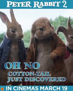 684 reactions · 159 shares | Peter Rabbit 2 - In Cinemas March 19 With James Corden & Margot Robbie | Sony Pictures | Facebook