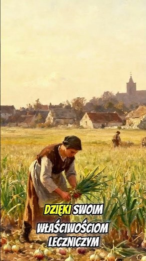 Onion History #history #interestingfacts #culture #herbs