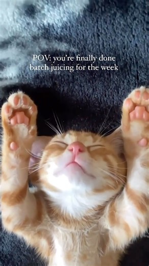 Sometimes it takes longer than you thought 😀 #juicecleanse #juicingrecipes #juicer #coldpressed #batchcooking | All About Juicing