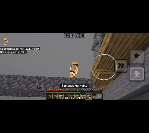 Minecraft Lag and Bug Issues in Java and Bedrock