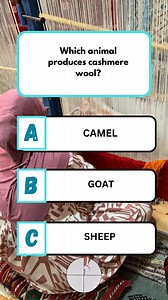 Which animal produces cashmere wool? #brainteaser #puzzle #quiz #fun #QuizTime #fblifestyle | tBrain Teaser Zone