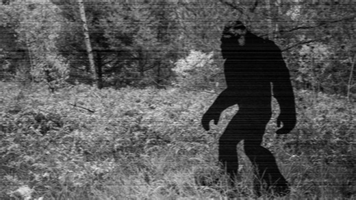 Hiker Captures What Some Are Calling The Clearest Footage Of Bigfoot Ever