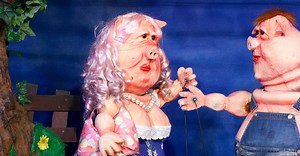 Erwin - ein Schweineleben