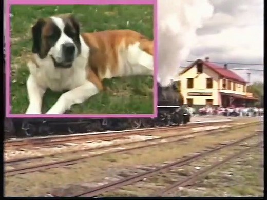 Bee Smart Baby - Baby Bumblebee - Vocabulary Builder Volume 1 (1999)