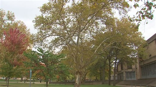 Current temperatures mark coldest stretch of days in late October since 2018