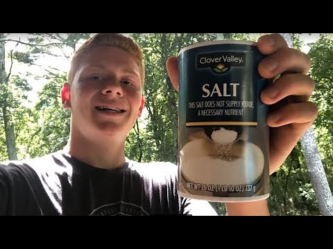 How to Make Your Own Salt Blocks