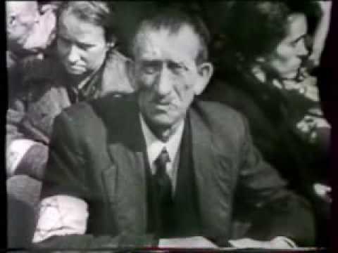 Jaques Brel: la colombe, une chanson contre la guerre d'algérie