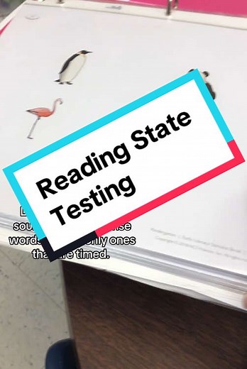 These are all of our Reading State Testing — letter naming, letter sounds, initial sounds, vocabulary, phoneme segmentation, and nonsense words. #kindergarten #aimsweb #aimswebkindergarten