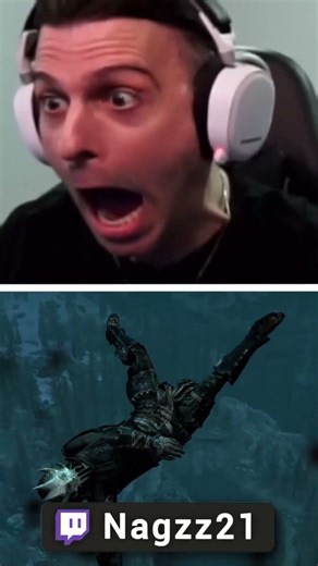 What does "Skyrim SPACE Program" Mean?