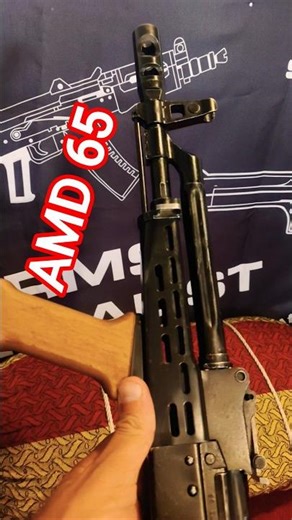 AMD-65 Hungarian Rifle | Short Barrel AK With a Punch