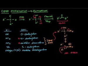 CYP450 part 2 - Elimination after Hydroxylation