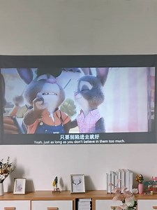 Fiico Anti Light Projector Screen 120 Inch,16:9 Foldable Anti-Crease Outdoor Projector Screen,Increasing The Thickness Outdoor Movie Screen for Home, Party, Office, Classroom, Outdoor (Black)