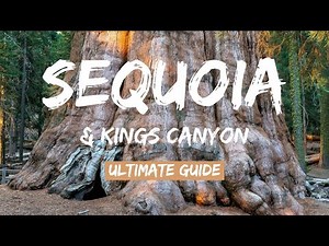 Sequoia & Kings Canyon National Parks: World's Largest Trees 4K