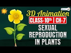Sexual Reproduction in Plants 3D Animation | Class 10 Sexual Reproduction in Plants | 10th Science