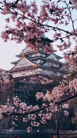 Peaceful Places You’ll Want to Visit Again and Again