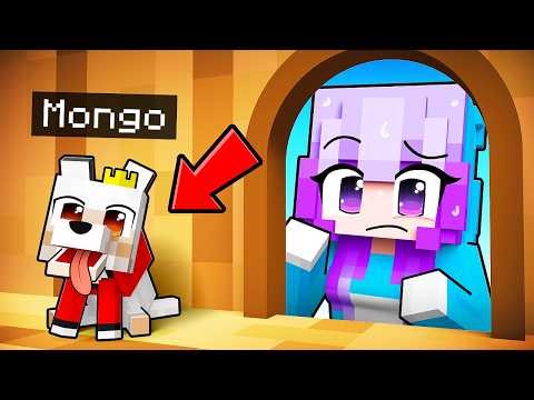 I Pretended to be a BABY DOG in Minecraft Hide and Seek!