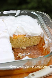 Three Milks Cake (Torta de Tres Leches)