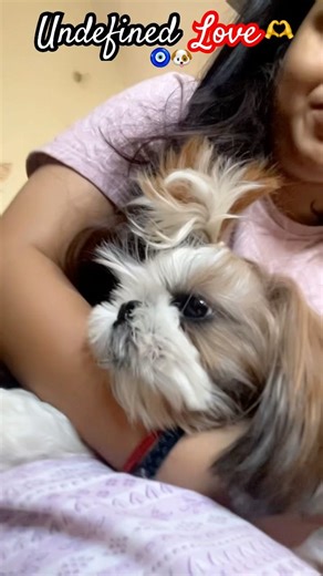 Pet parents can relate🫶🐶 #love #ashortaday #food #trending #dogs #petparent #dogslife #drools