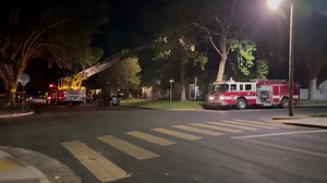 Turlock Fire responded to a call of an animal rescue. Firefighters brought out the ladder truck and rescued a pet cat out of a tree at Cahill Street and N. Rose Street. | TurlockCityNews.com